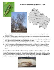 Wood / Emerald ash borer / Medicinal plants / Matter / Fraxinus / Biology / Ash Borer / Energy / Ash / Buprestidae / Woodboring beetles / Biomass