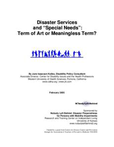 Disaster Services and “Special Needs,” Term of Art or Meaningless Term