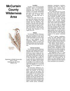 McCurtain County Wilderness Area / Broken Bow Lake / Broken Bow /  Oklahoma / McCurtain County /  Oklahoma / Kiamichi Country / Kiamichi Mountains / Geography of Oklahoma / Oklahoma / Ouachita National Forest