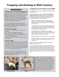 Trapping and Hunting in Wolf Country Trapping and The Mexican Gray Wolf WARNING! Wolves Are A Protected Species Parts of New Mexico are within the Mexican Wolf