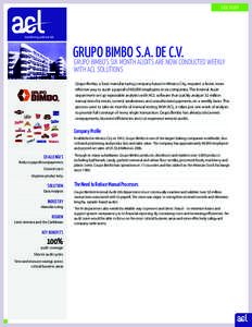 Computer-aided audit tools / Risk / Business / ACL / Accounting software / Audit / Internal audit / Internal control / Grupo Bimbo / Accountancy / Information technology audit / Auditing