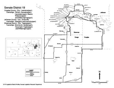 Senate District Map No. 19