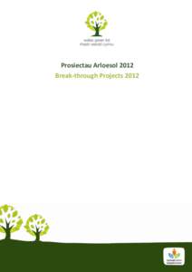 Prosiectau Arloesol 2012 Break-through Projects 2012 Cwmni Cydweithredol Crest, Gogledd Cymru “Ein nod yw ymgysylltu â’r