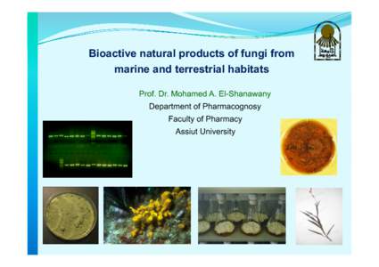Bioactive natural products of fungi from marine and terrestrial habitats Prof. Dr. Mohamed A. El-Shanawany Department of Pharmacognosy Faculty of Pharmacy Assiut University