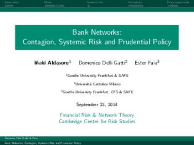 Introduction  Model Systemic risk