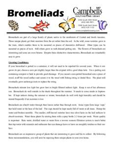 Botany / Agriculture / Plant morphology / Bromeliaceae / Potting soil / Landscape architecture