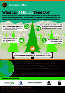 What can 3 Million Trees Do?* As part of its Global Forestry Initiative, UPS supports organizations like The Nature Conservancy, Earth Day Network, Arbor Day Foundation, WWF, and the National Park Foundation. We’ve alr
