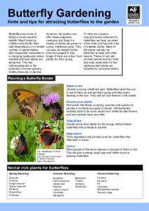 Butterfly Gardening hints and tips for attracting butterflies to the garden Butterflies are some of Britain’s most colourful wildlife. Much loved by children and adults, their