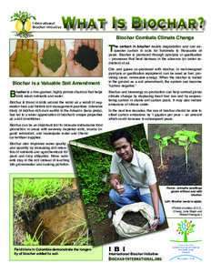 Biochar / Environmental soil science / Carbon dioxide / Terra preta / Soil carbon / Soil conditioner / Pyrolysis / Charcoal / Biomass / Chemistry / Soil / Environment