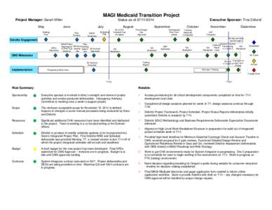 MAGI Medicaid Status Report