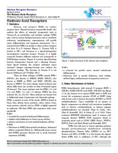 Nuclear Receptor Resource Research Article The Retinoic Acids Receptors  P.P. Albrecht, J.P.Vanden Heuvel, INDIGO Biosciences Inc., State College PA