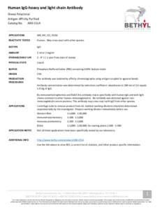 Human IgG-heavy and light chain Antibody Sheep Polyclonal Antigen Affinity Purified Catalog No. A80-155A