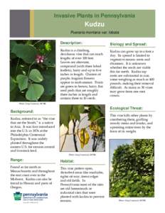 Agriculture / Environment / Medicinal plants / Garden pests / Kudzu / Pueraria montana / Vine / Invasive species / Weed / Pueraria / Invasive plant species / Biology