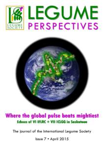 LEGUME PE RS P E C T IV E S Where the global pulse beats mightiest Echoes of VI IFLRC + VII ICLGG in Saskatoon The journal of the International Legume Society