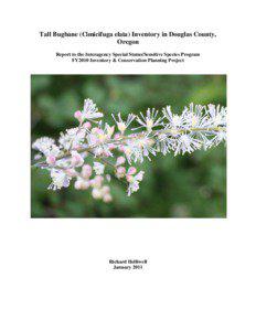 Tall Bugbane (Cimicifuga elata) Inventory in Douglas County, Oregon Report to the Interagency Special Status/Sensitive Species Program