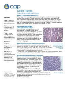 Colon Polyps  Colon Adenomatous Polyps What is a colon adenomatous polyp? Definitions Colon: The section