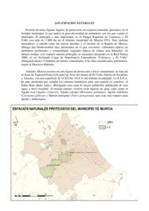 LOS ESPACIOS NATURALES Existen diversas figuras legales de protección de espacios naturales presentes en el término municipal, lo que indica la gran diversidad de ambientes con los que cuenta el municipio. El principal