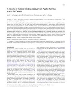 1903  A review of factors limiting recovery of Paciﬁc herring stocks in Canada Jacob F. Schweigert, Jennifer L. Boldt, Linnea Flostrand, and Jaclyn S. Cleary Schweigert, J. F., Boldt, J. L., Flostrand, L., and Cleary, 