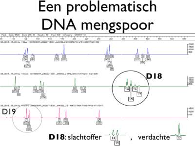 Een problematisch DNA mengspoor D18 D19 D18: slachtoffer