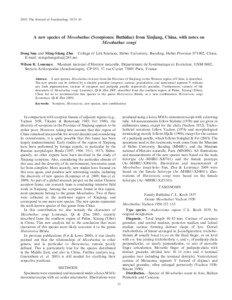 2010. The Journal of Arachnology 38:35–43  A new species of Mesobuthus (Scorpiones: Buthidae) from Xinjiang, China, with notes on