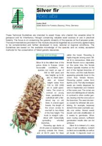 Technical guidelines for genetic conservation and use  Silver fir Abies alba EUFORGEN