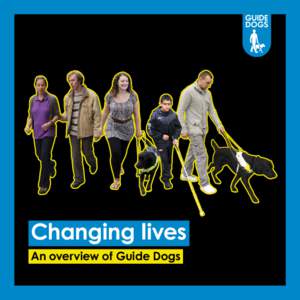 Changing lives An overview of Guide Dogs We will not rest until blind and partially sighted people can enjoy the same freedom of