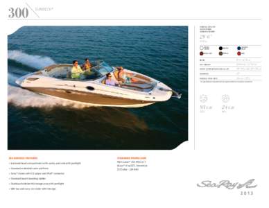 SeaRay_Logo_Illus_Cool_gray_9