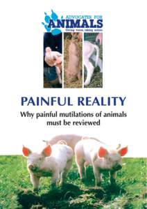 Ethics / Animal welfare / Pain / Livestock / Elastration / Animal Health and Welfare (Scotland) Act / OneKind / Cattle mutilation / Pain in animals / Animal cruelty / Animal rights / Zoology