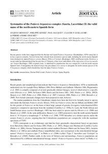 Zootaxa, Systematics of the Podarcis hispanicus-complex (Sauria, Lacertidae) II: the valid...