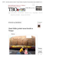 Giant Idaho potato turns heads in Tampa | Breaking Tampa Bay, Florida and national news and weather from Tampa Bay Online and The Tampa Tribune | TB… A UTOS HOMES