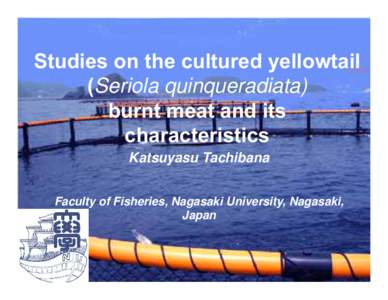 Characteristics of burnt meat in yellowtail Seriola quinqueradiata