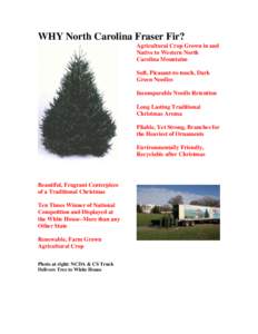 Microsoft Word - WHY North Carolina Fraser Fir.doc