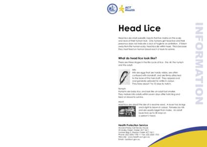 Head lice - Info Sheet.indd