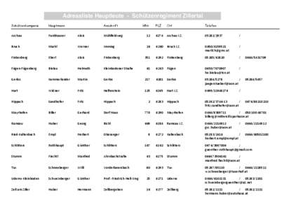 T8_Regiment Zillertal Hptm