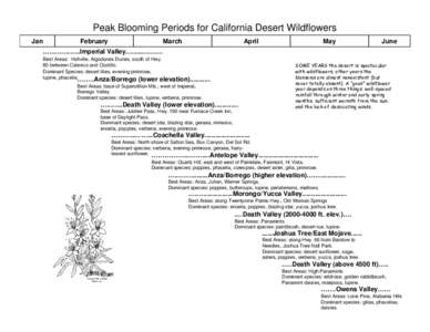 Joshua Tree National Park / Geraea canescens / Heliantheae / Encelia / Yucca / Lupinus / Phacelia / California / Flora of the United States / Western United States / Geography of California