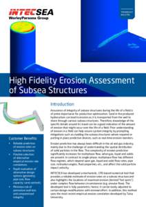 TECHNOLOGY Bulletin High Fidelity Erosion Assessment of Subsea Structures Introduction