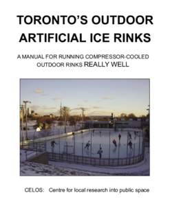 Ice hockey / Ice rink / Shinny / Palgrave Pond / Kennedy family / Roller rink / Sports / Sports venues / Skating