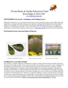 UConn Home & Garden Education Center Knowledge to Grow On! www.ladybug.uconn.edu SEPTEMBER is for Scorch, Switchgrass and Seeding Lawns! Hello Fellow Gardeners! You are receiving this email because you have provided us w