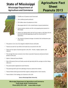 Boiled peanuts / Peanut Corporation of America / Food and drink / Arachis / Peanut