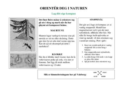 ORIENTÉR DEG I NATUREN Lag ditt eige kompass Det finst fleire måtar å orientere seg på ute i skog og mark når du har gløymt att kompasset heime. MAURTUVE