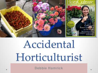 Accidental Horticulturist Debbie Hamrick History •