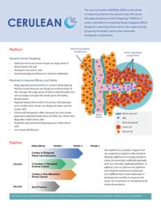 The team at Cerulean (NASDAQ: CERU) is committed to improving treatment for people living with cancer. We apply our Dynamic Tumor Targeting™ Platform to create a portfolio of nanoparticle-drug conjugates (NDCs) designe