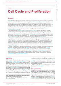 Figure 9 immunological synaps...