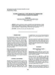 THE RAFFLES BULLETIN OF ZOOLOGY 2009 THE RAFFLES BULLETIN OF ZOOLOGY[removed]): 505–509 Date of Publication: 31 Aug.2009