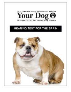 Hearing test for the brain  If you suspect you’re having difficulty hearing, the first obvious step is to call your doctor for an exam. You’ll explain the loss you’ve been experiencing, its length and degree. Then