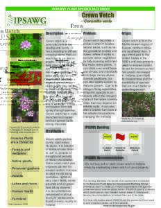 INVASIVE PLANT SPECIES FACT SHEET  Crown Vetch Coronilla varia  Pictures By (From top to bottom):
