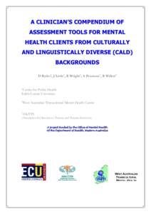 Development of culturally sensitive clinical assessment instruments compendium