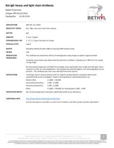 Rat IgG-heavy and light chain Antibody Rabbit Polyclonal Antigen Affinity Purified Catalog No. A110-122A