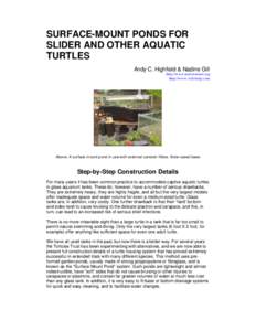 Personal life / Water filters / Ponds / Aquaria / Filter / Aquarium / Painted turtle / Water garden / Air filter / Recreation / Fishkeeping / Human behavior