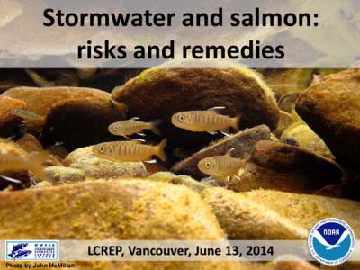 Stormwater and salmon: risks and remedies LCREP, Vancouver, June 13, 2014 Photo by John McMillan